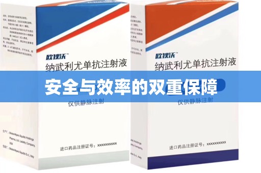 洛阳安全与效率的双重保障