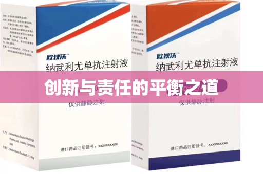 洛阳创新与责任的平衡之道