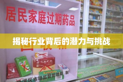 洛阳揭秘行业背后的潜力与挑战