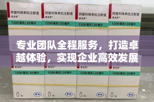 洛阳专业团队全程服务，打造卓越体验，实现企业高效发展