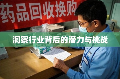 洛阳洞察行业背后的潜力与挑战