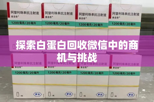 洛阳探索白蛋白回收微信中的商机与挑战