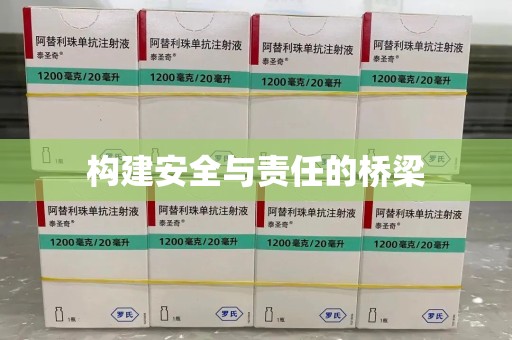 洛阳构建安全与责任的桥梁