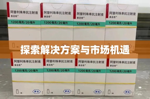 洛阳探索解决方案与市场机遇