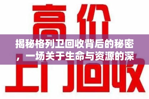 洛阳揭秘格列卫回收背后的秘密，一场关于生命与资源的深刻探讨