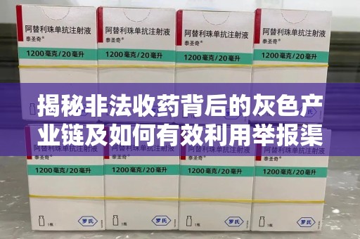 洛阳揭秘非法收药背后的灰色产业链及如何有效利用举报渠道