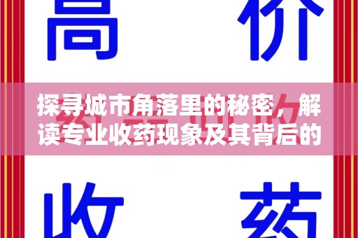 洛阳探寻城市角落里的秘密，解读专业收药现象及其背后的故事
