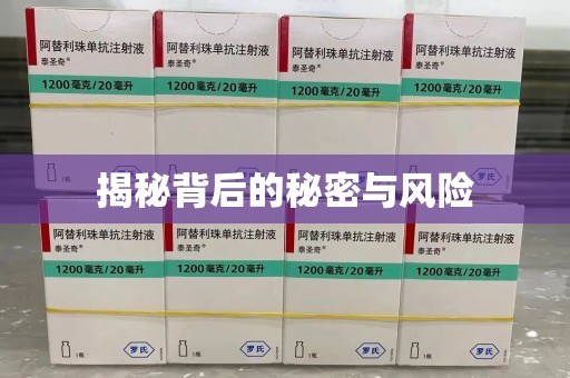 洛阳揭秘背后的秘密与风险