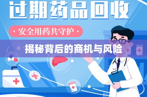 洛阳揭秘背后的商机与风险